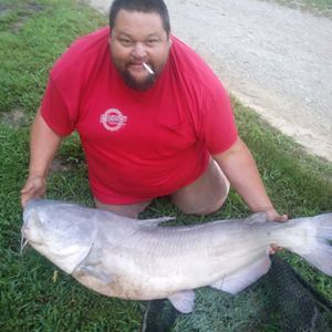 Meet your Posher, Leon